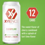 XYIENCE Energy Drink | Frost Berry Blast | Sugar Free | Zero Calories | Natural Flavors | Vitamin Fortified | 16 Ounce (Pack of 12) - Image 3